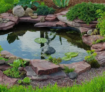 Landscape Designs