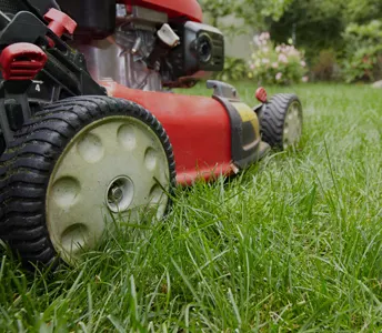 Lawn Maintenance